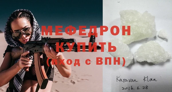 мдпв Ельня