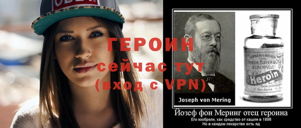 мдпв Ельня