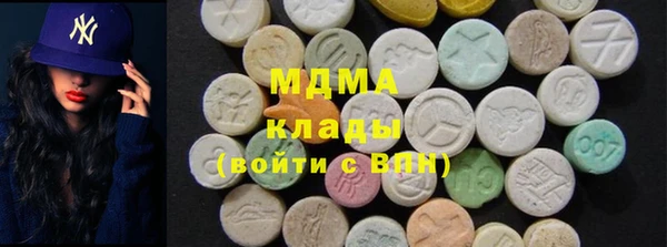 мдпв Ельня