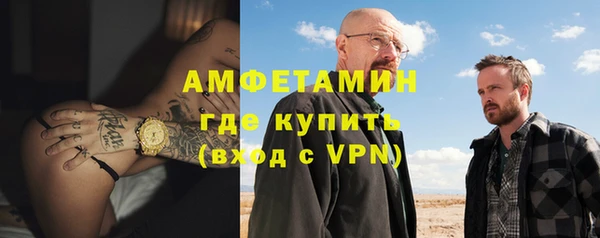 мдпв Ельня