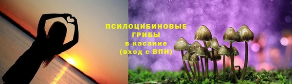 мдпв Ельня