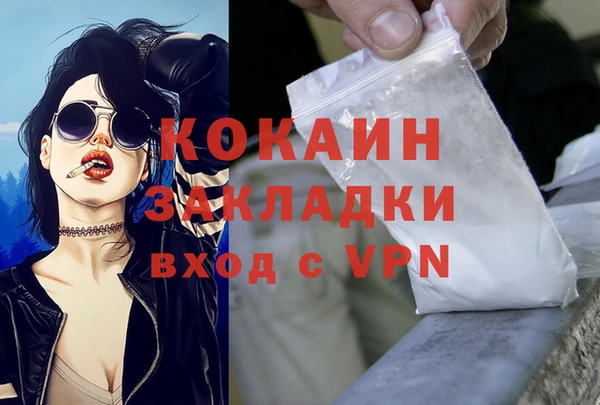 мдпв Ельня