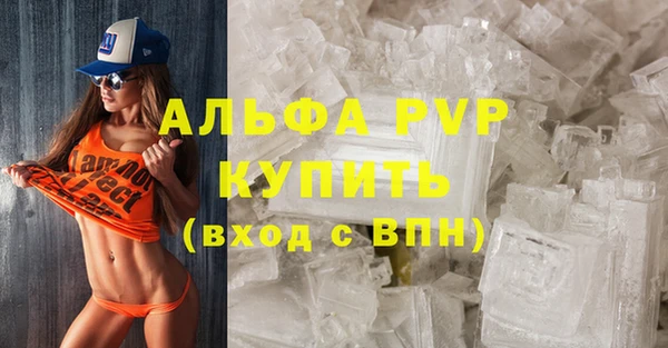 ПСИЛОЦИБИНОВЫЕ ГРИБЫ Кукмор