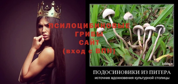 мдпв Ельня