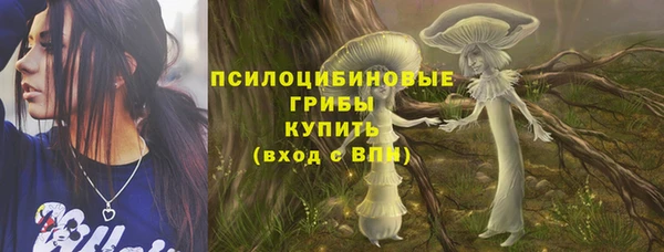 ПСИЛОЦИБИНОВЫЕ ГРИБЫ Кукмор
