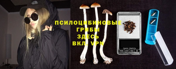 МДПВ Санкт-Петербург