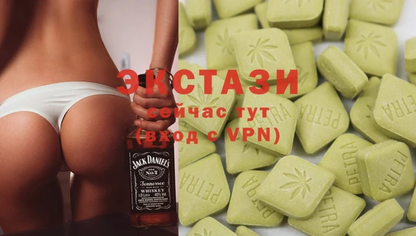 мдпв Ельня